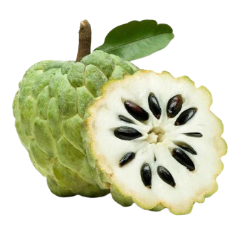 قشطة